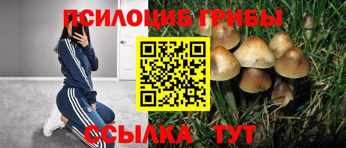 Галлюциногенные грибы Cubensis  Вход с VPN  Белгород 
